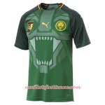 Maillot/Tenue Cameroun Domicile 2018